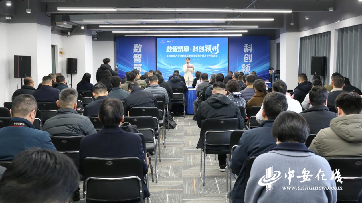 阜阳软件产业园创新成果发布暨数字经济合作对接会举办_中安在线