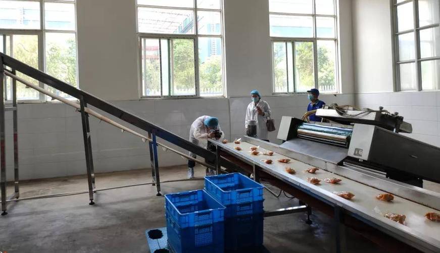 安徽电视台《皖美乡村》节目组走进知香斋工厂,先睹为快