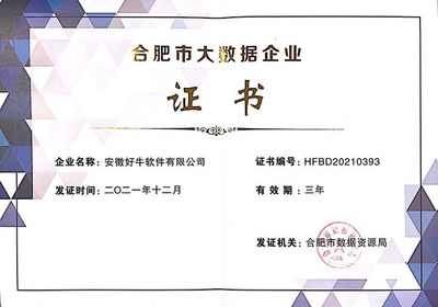 安徽好牛软件荣获"合肥市大数据企业"认定